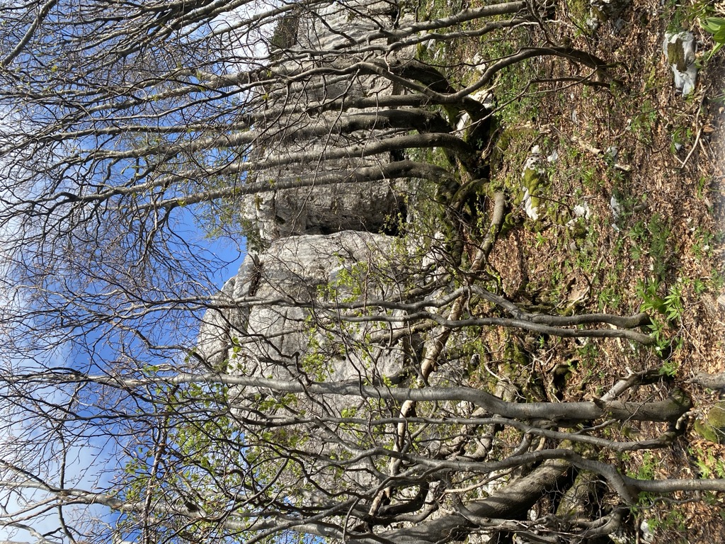 Južni Mali Risnjak