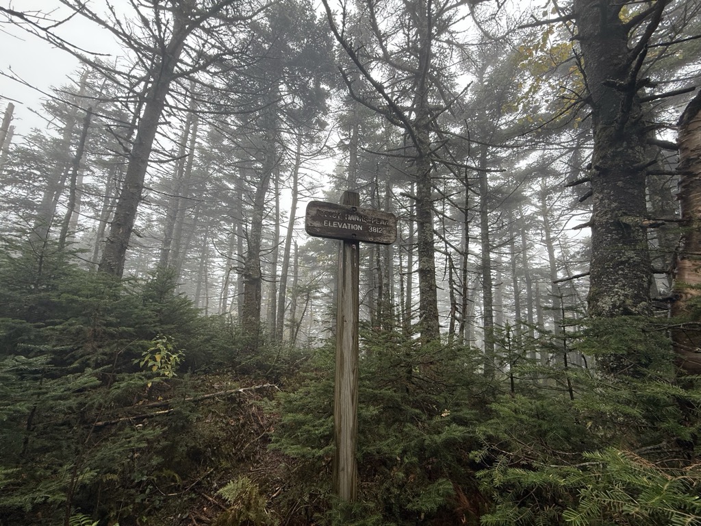 Nancy Hanks Peak