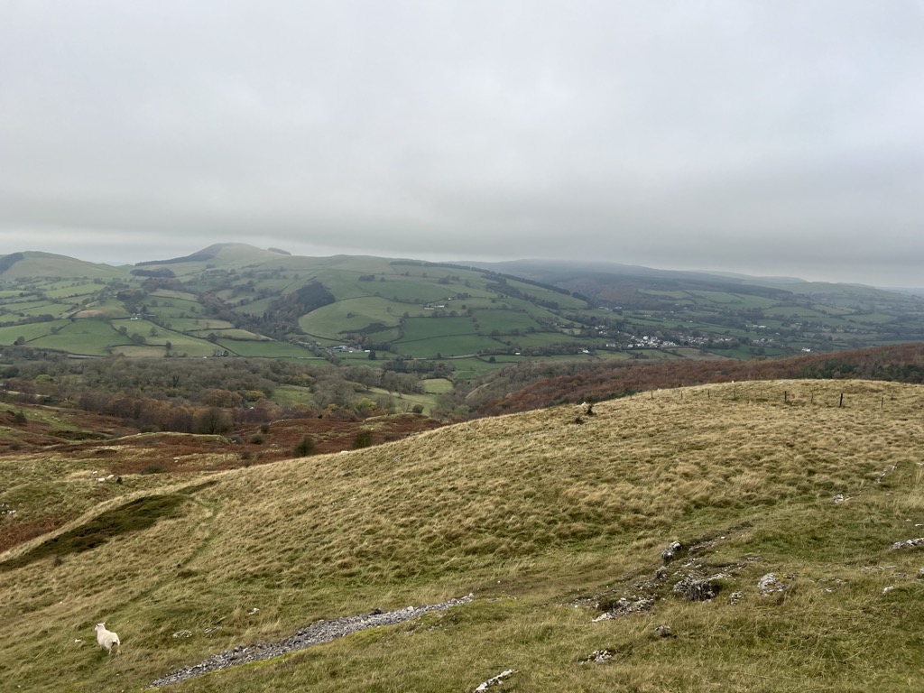 Bryn Alyn