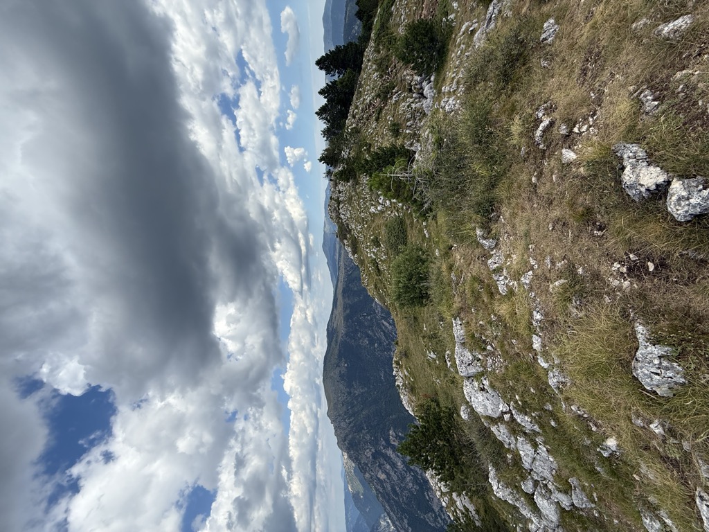 Ćurevac