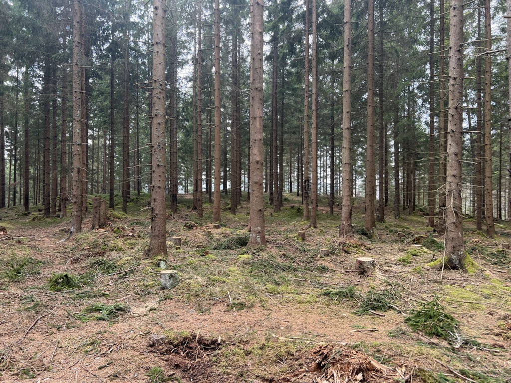 U studánky