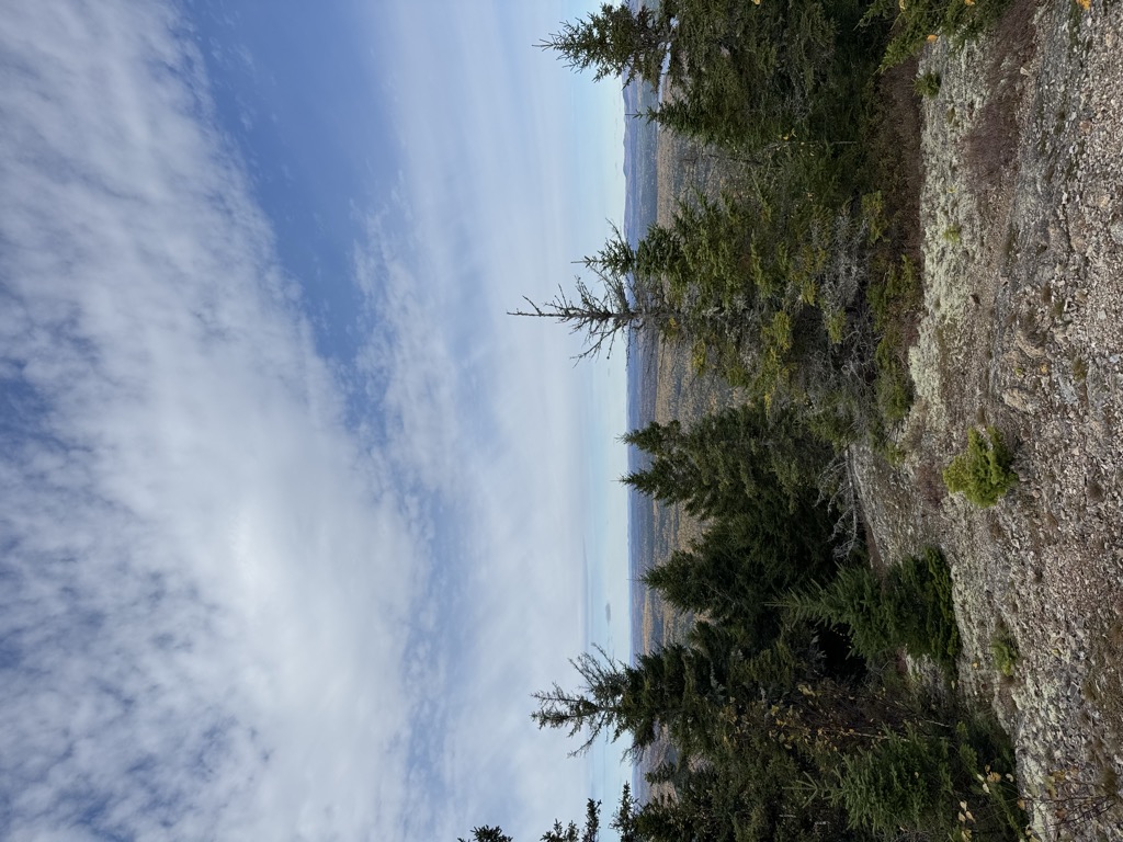 Trout Brook Mountain
