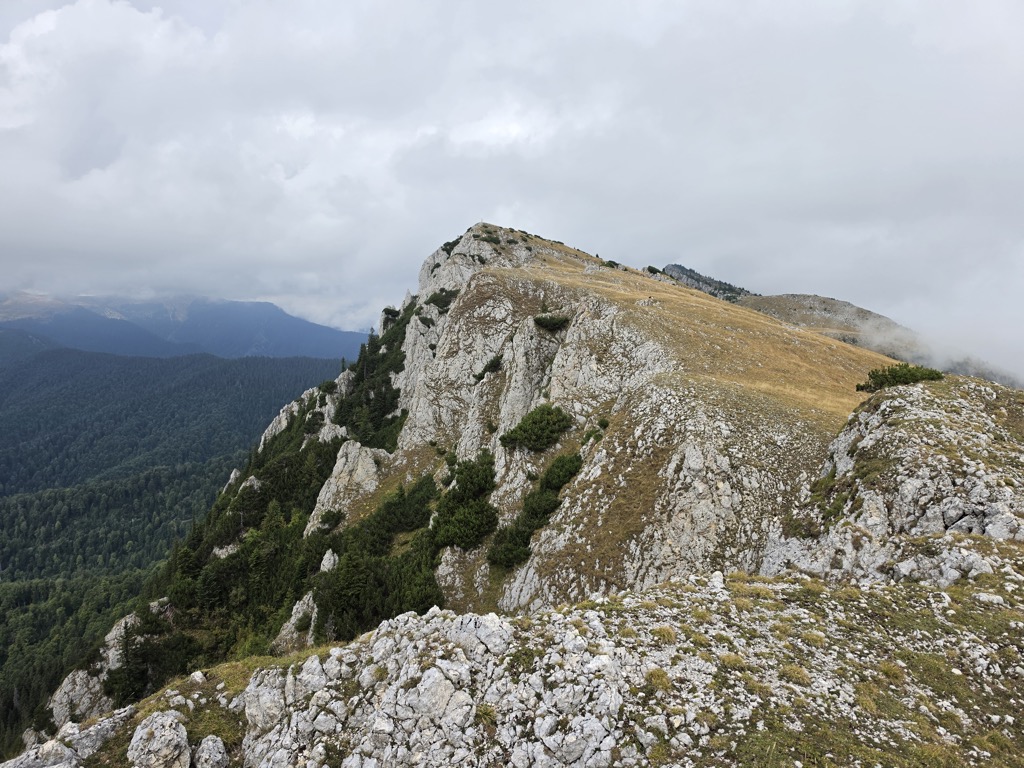 Albu