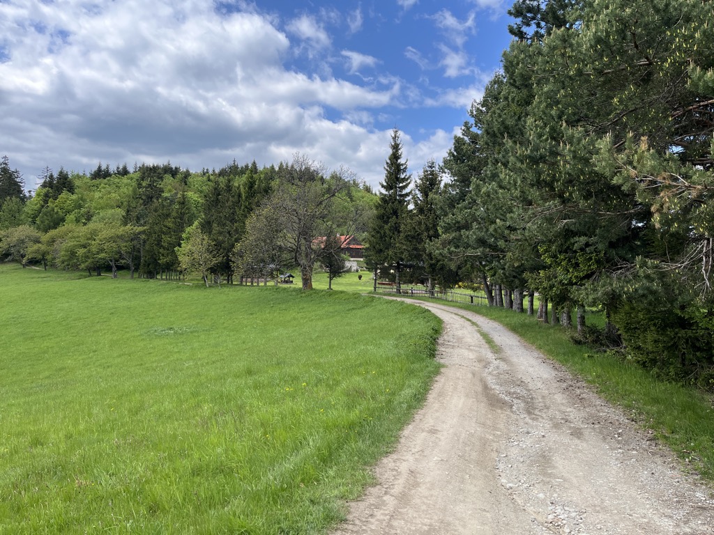 Hadová