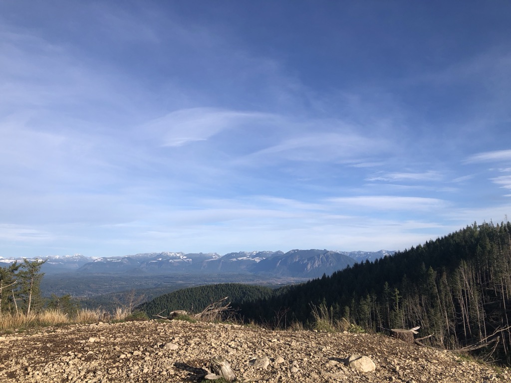 West Tiger #3