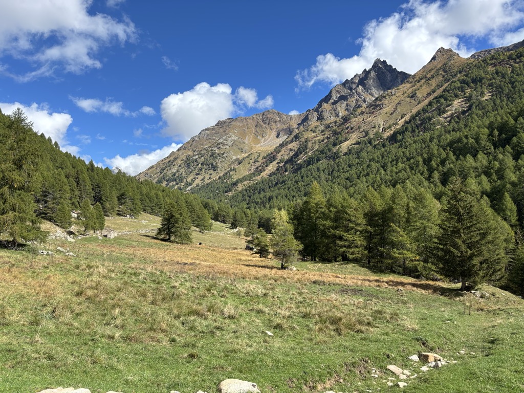Cà di Caser