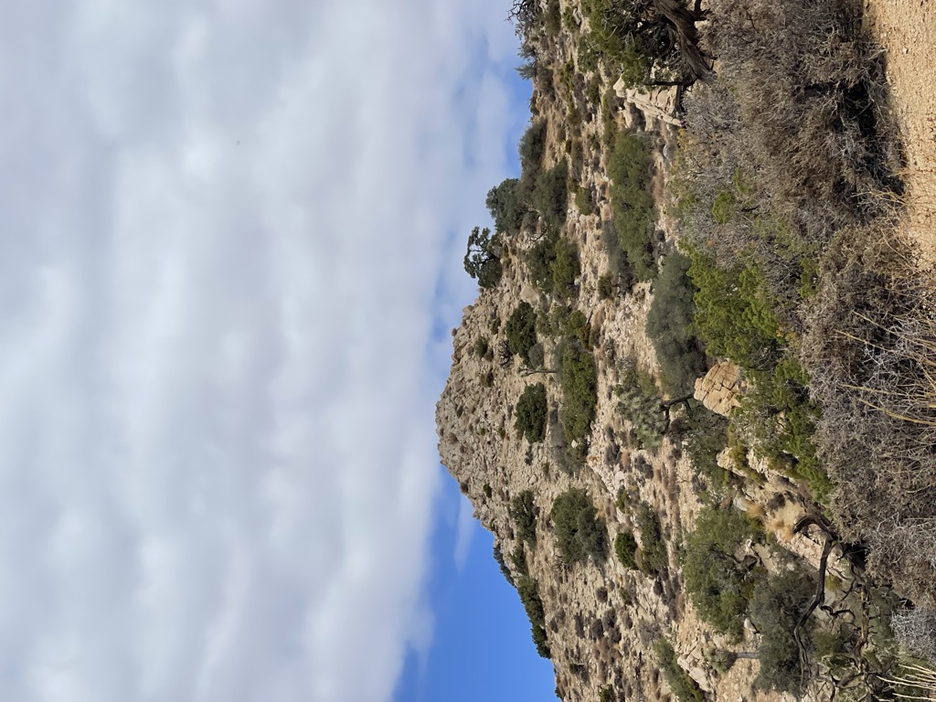Warren Peak