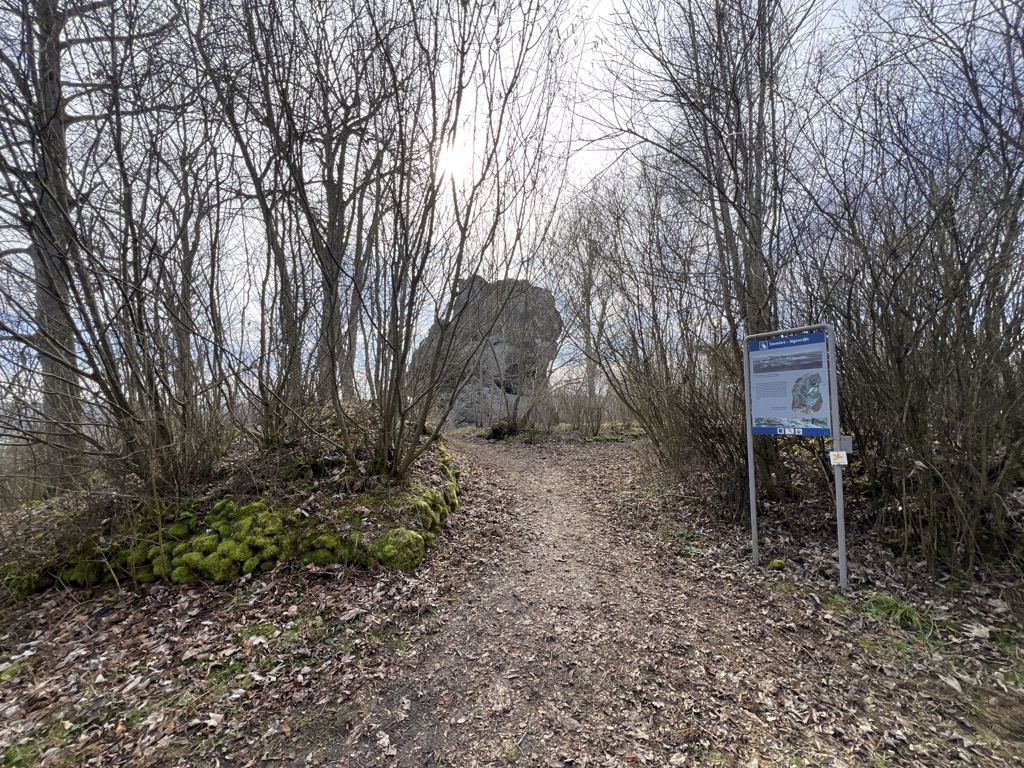 Steinhirt