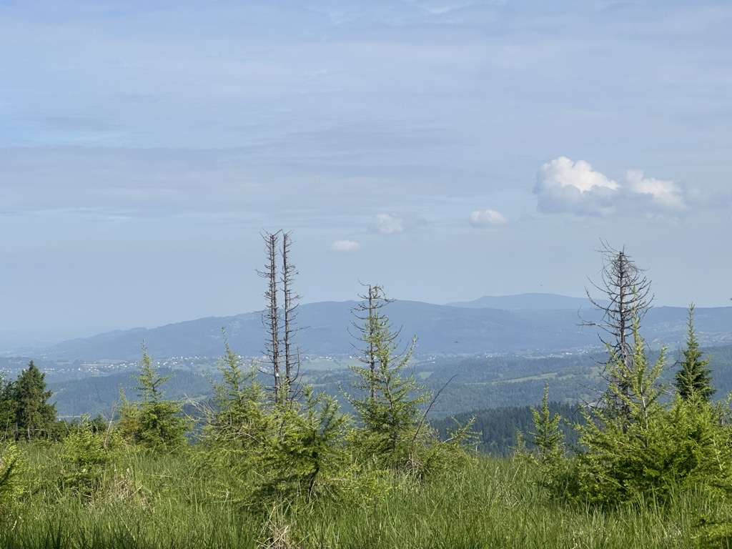 Kykula / Kikula