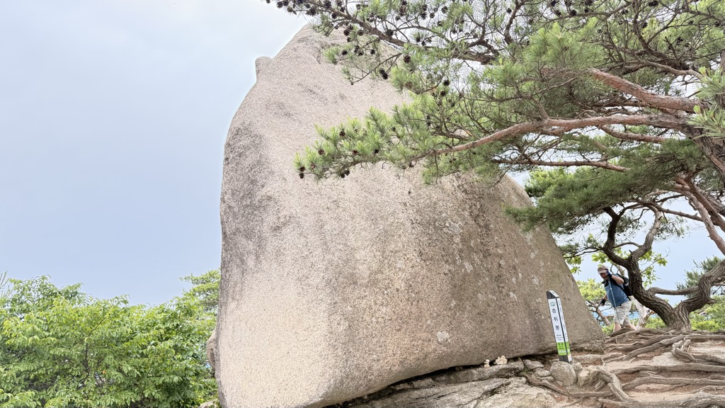 Jeungcwibong