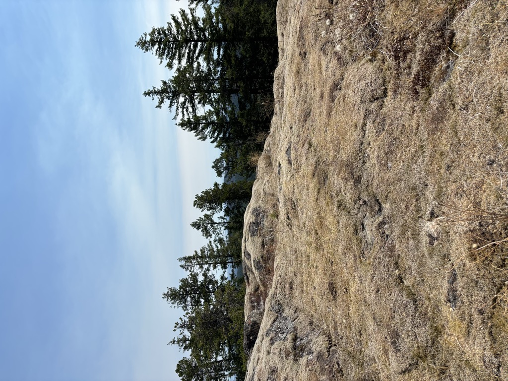 Price's Peak