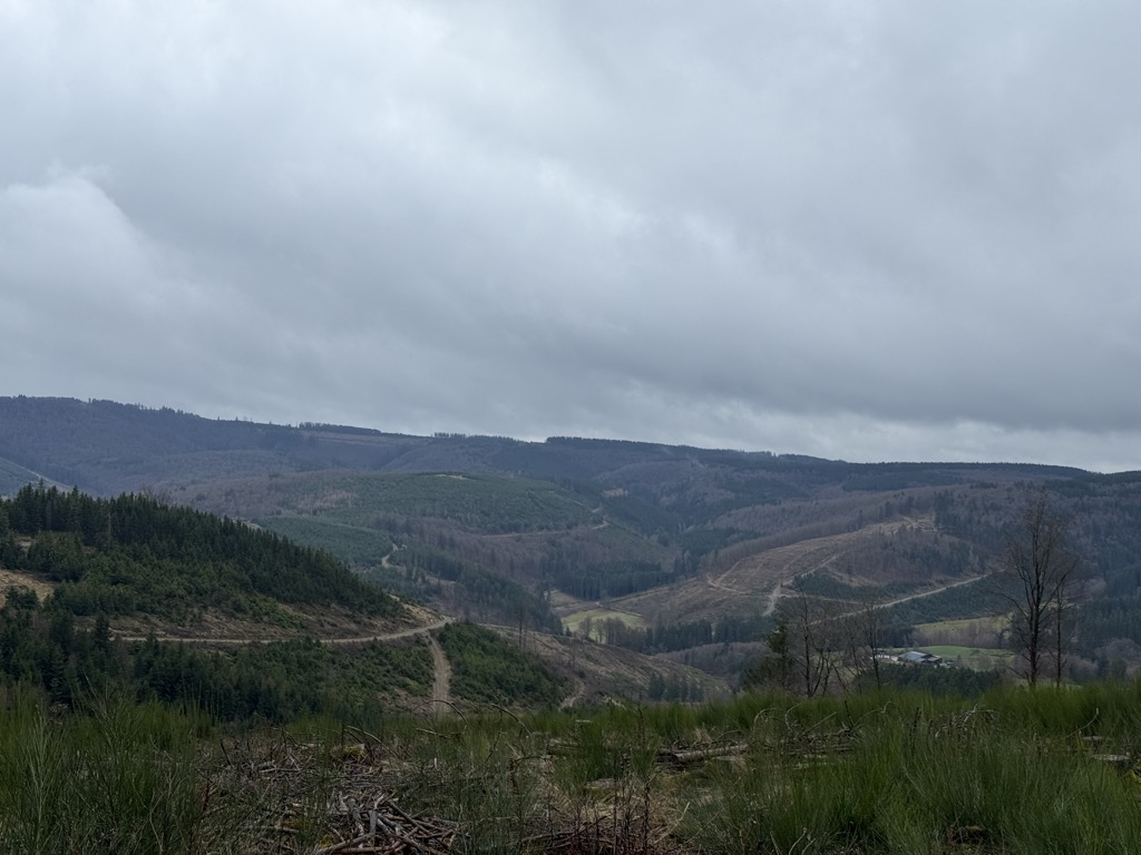 Bürenberg
