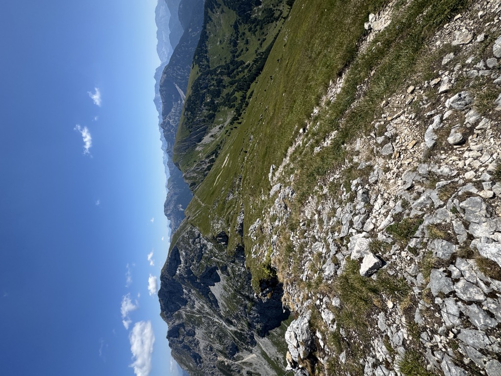 Krähe