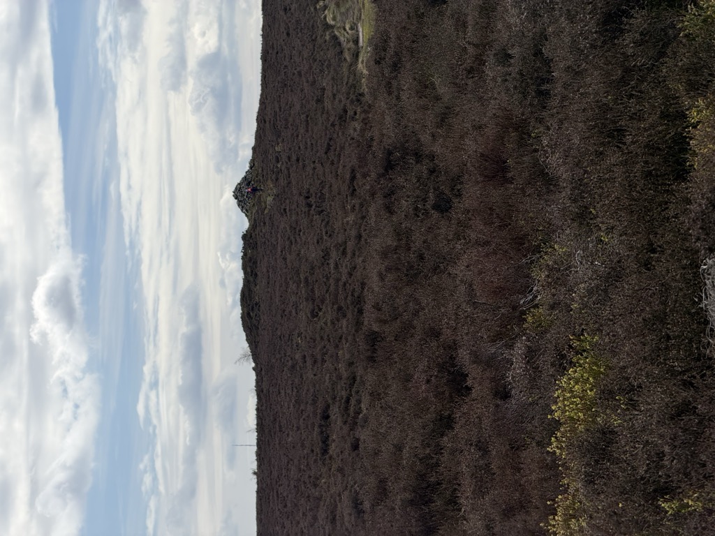 Cringle Moor