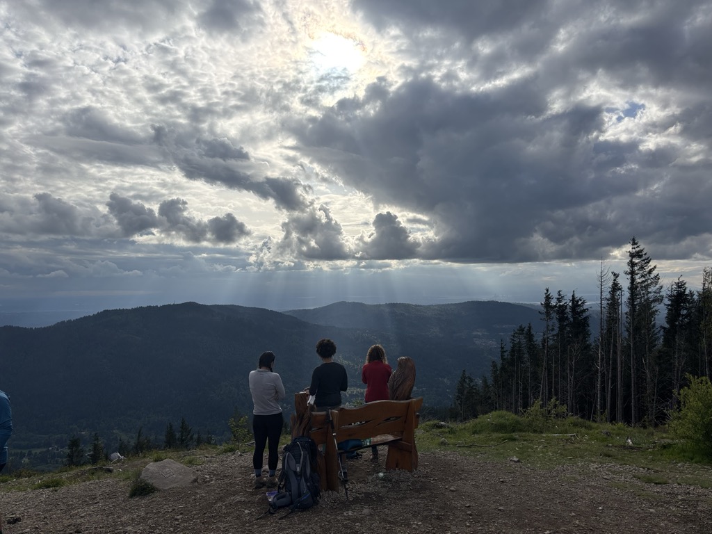 West Tiger #3