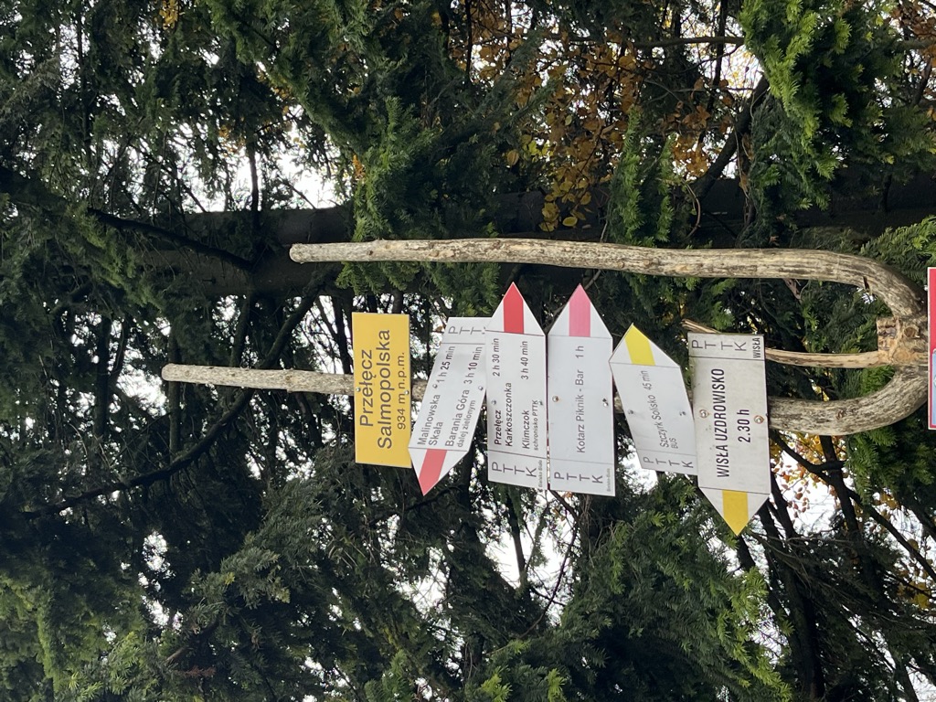 Przełęcz Salmopolska