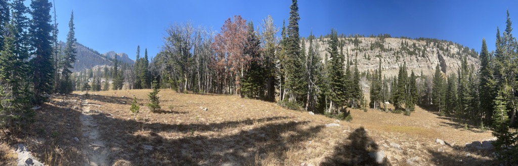Rendezvous Mountain
