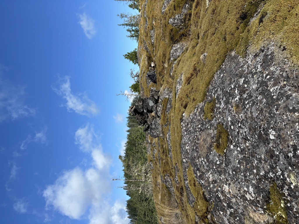 Price's Peak