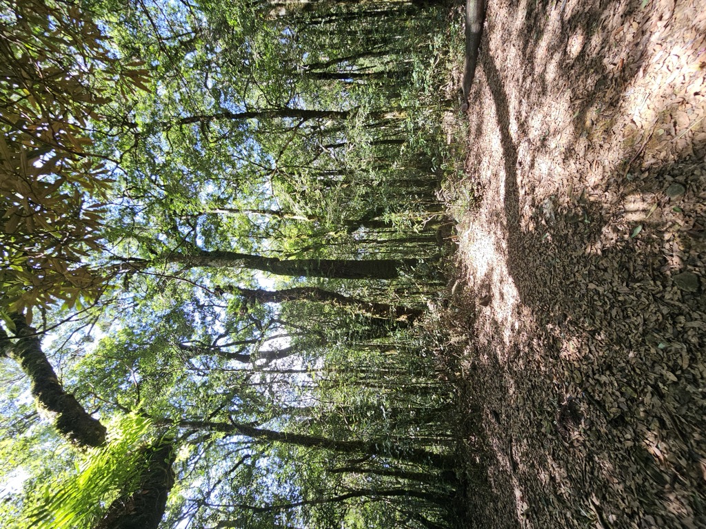 Kù Lǔshān