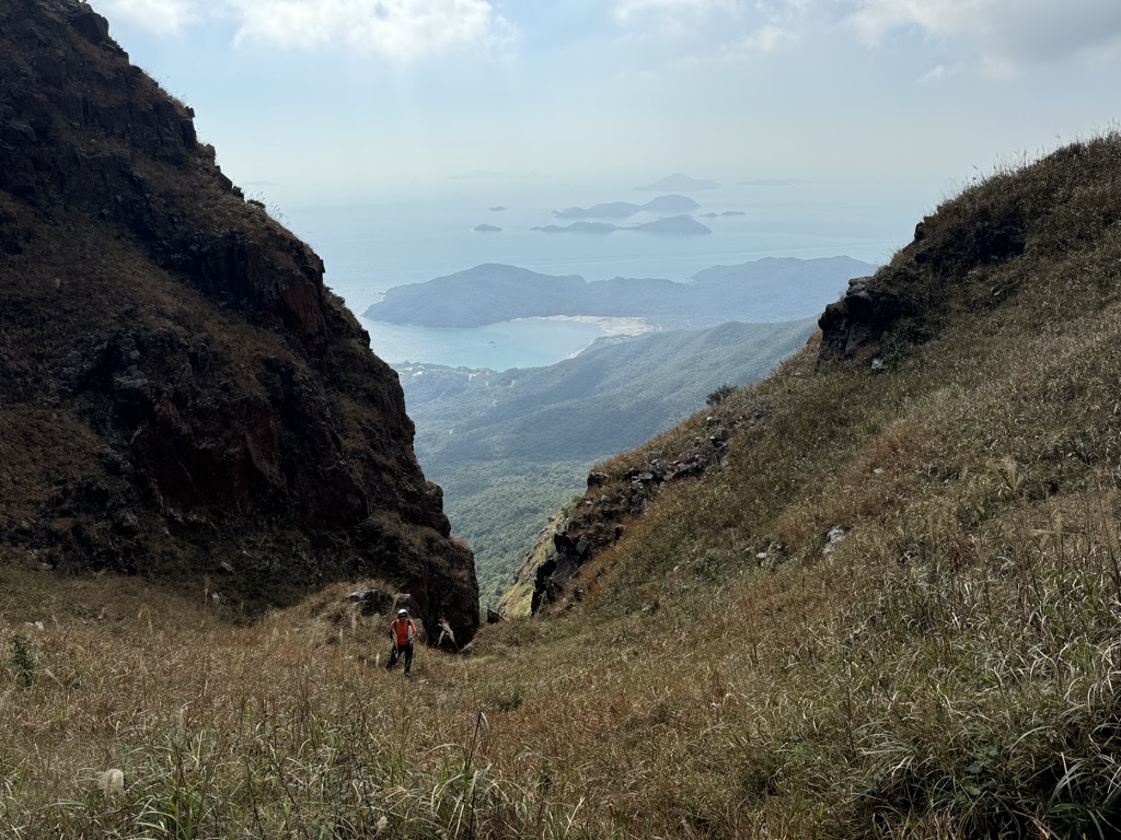 Tai Shan Mei