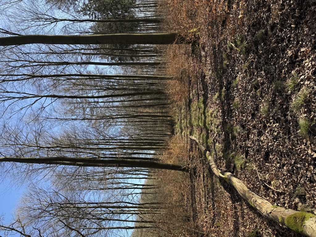 Deutscher Stein