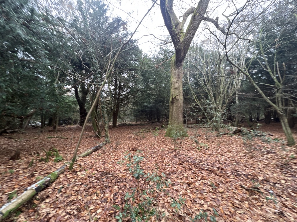 Flint Hill