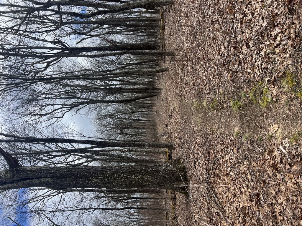 Glade Mountain