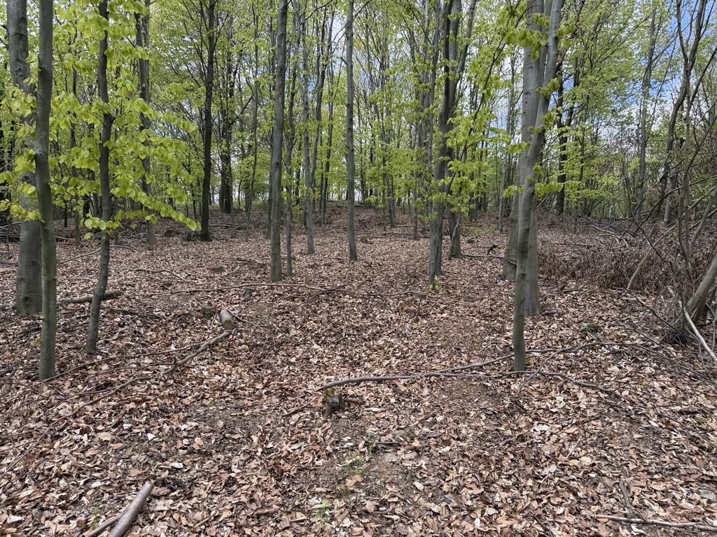 Kraska