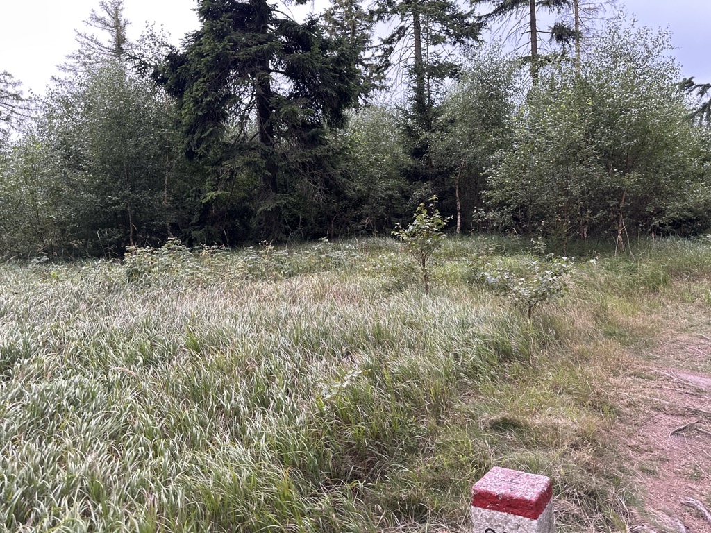 Javorový vrch