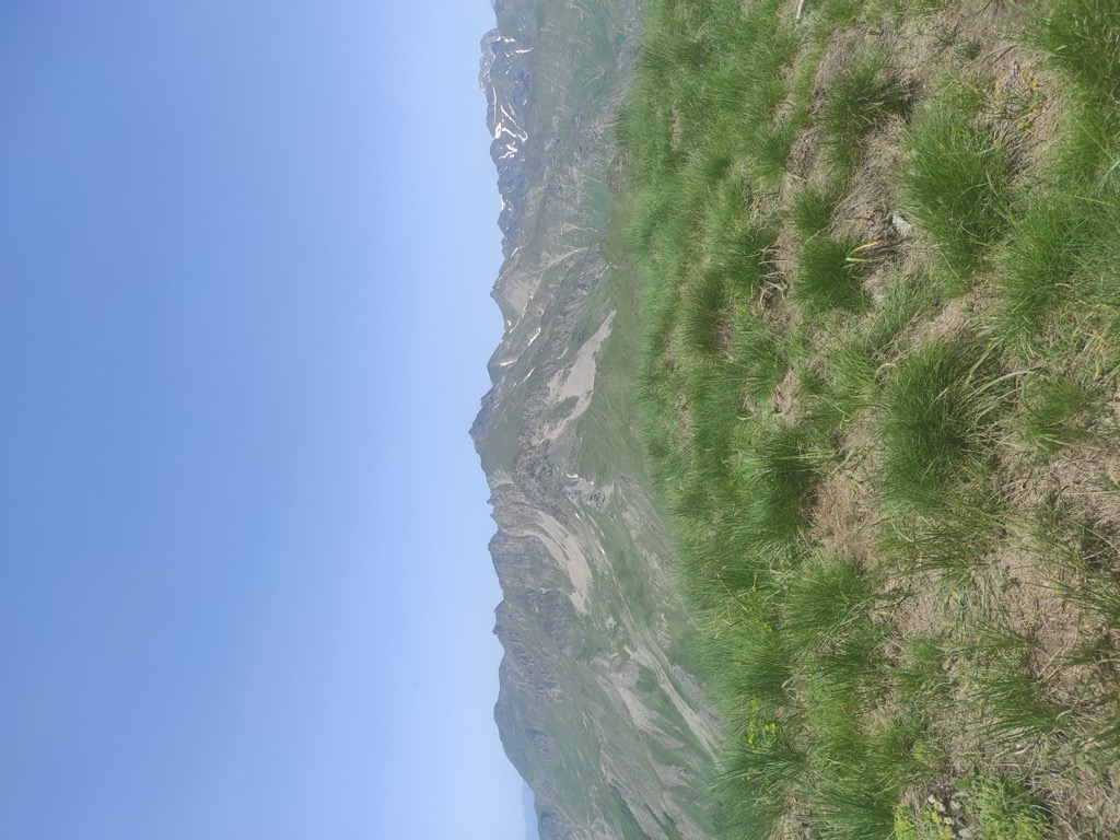 Plocha