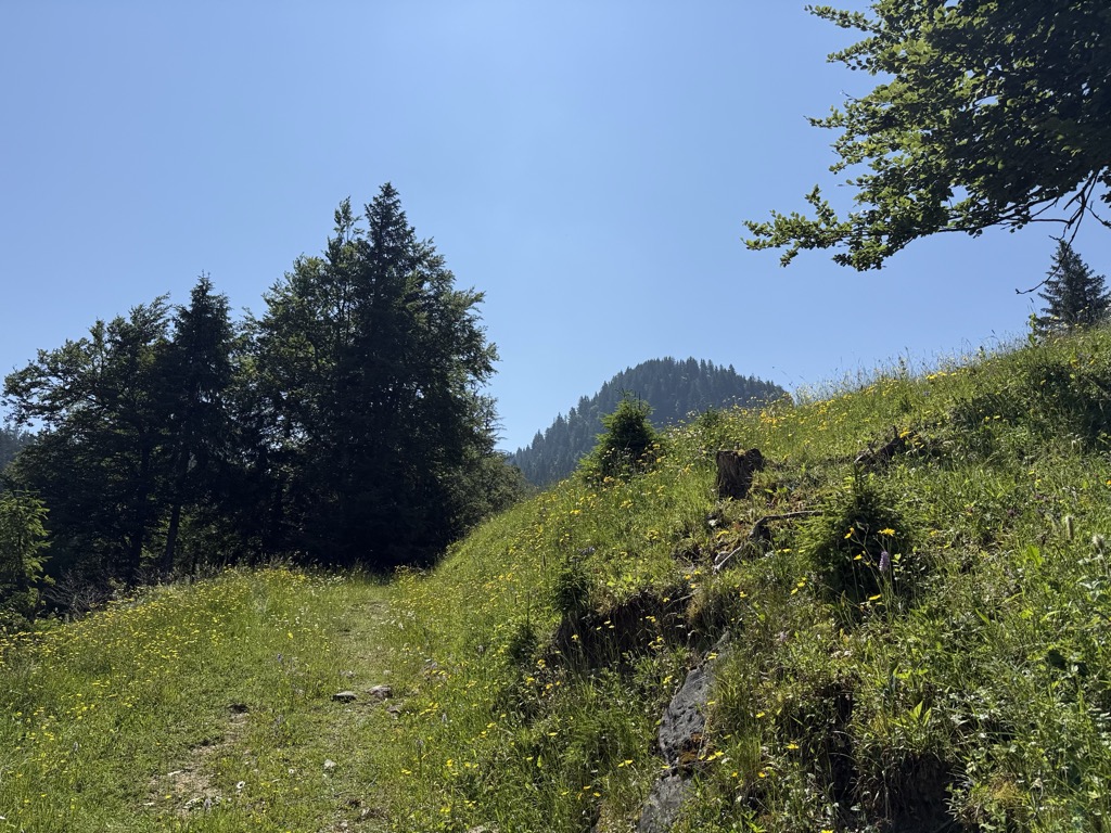 Col de l'Aiguille