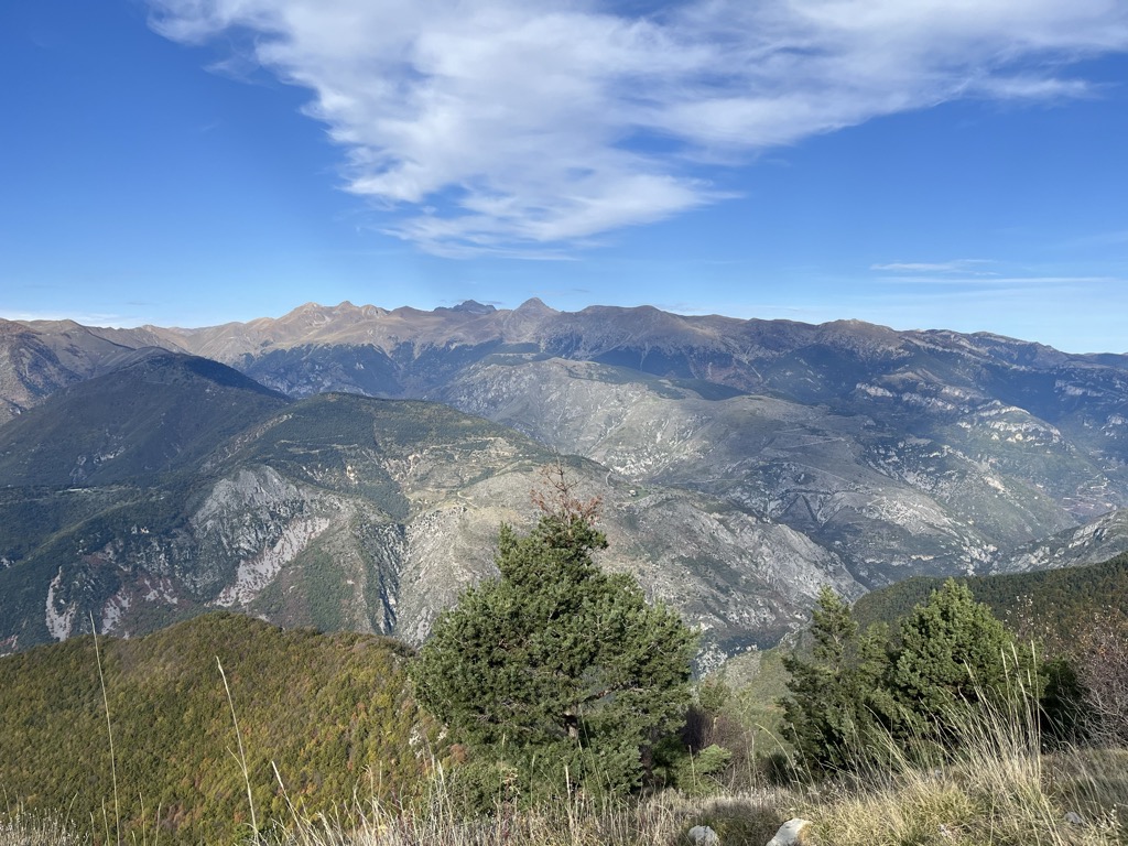 L'Arpette