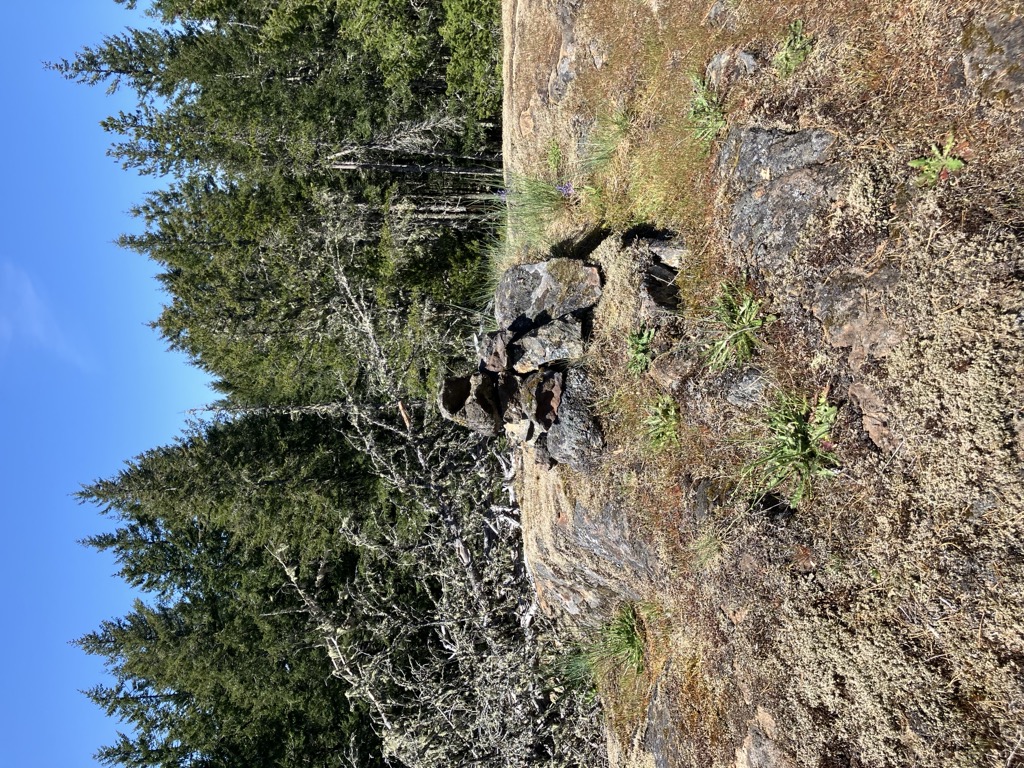 East Clapper