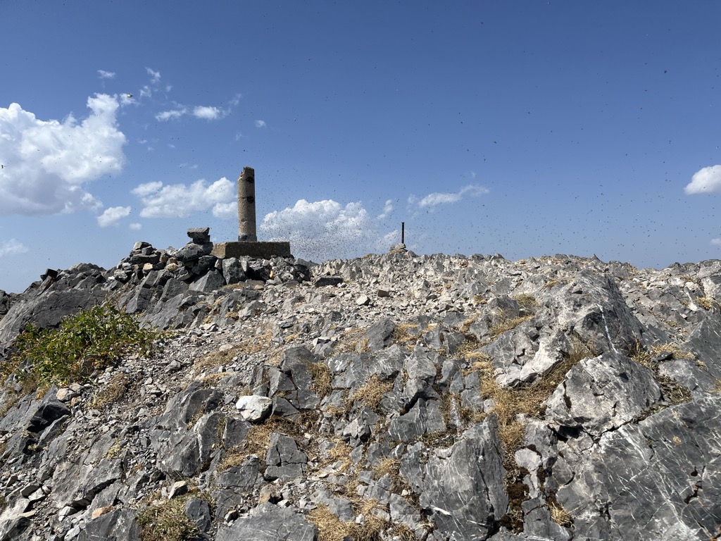 Peña Ubiña