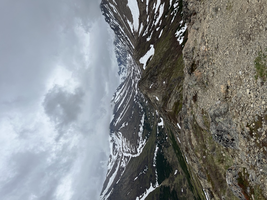 Near Point