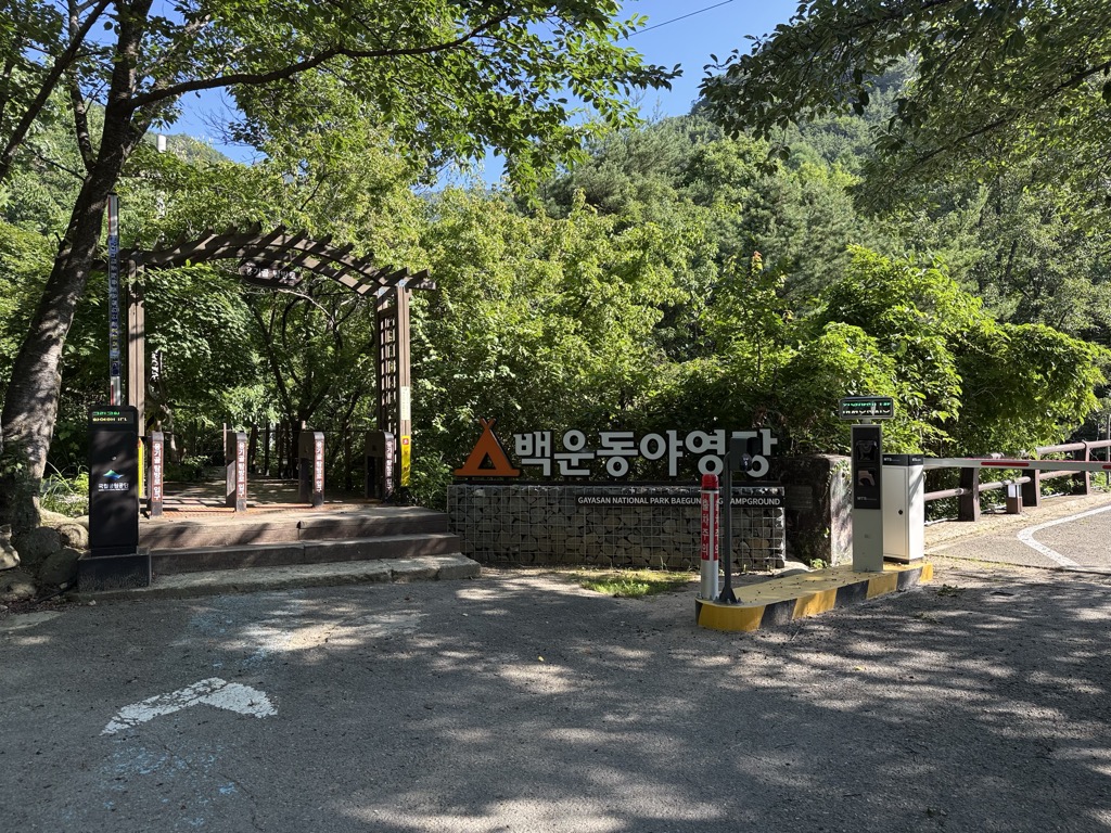 Baegundongyayeongjang