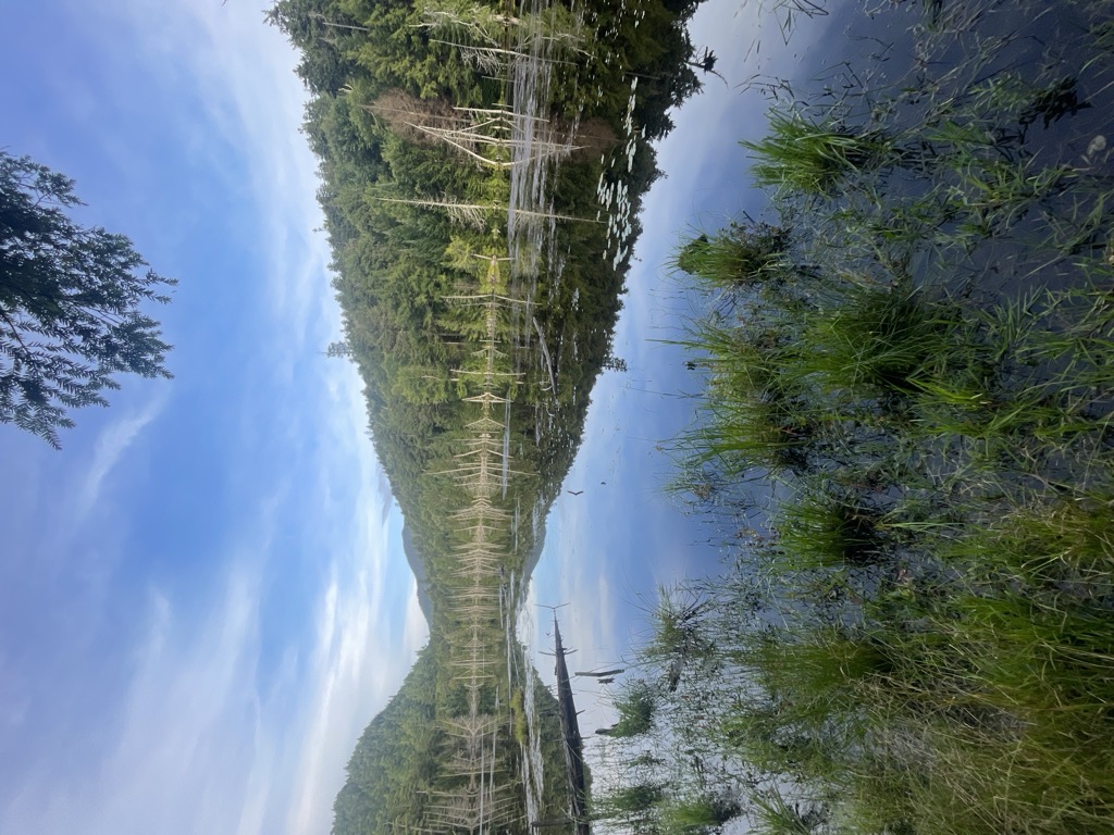 Winch Pond