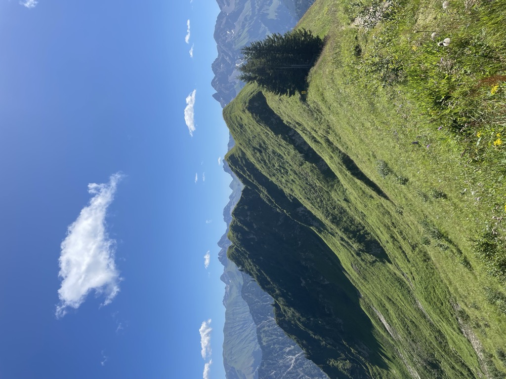 Schlappolteck