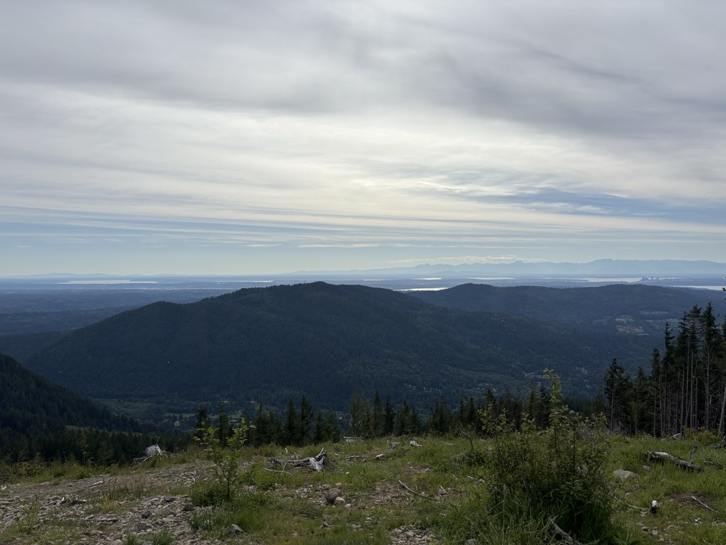 West Tiger #3