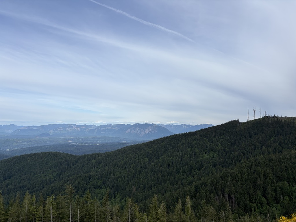 West Tiger #2