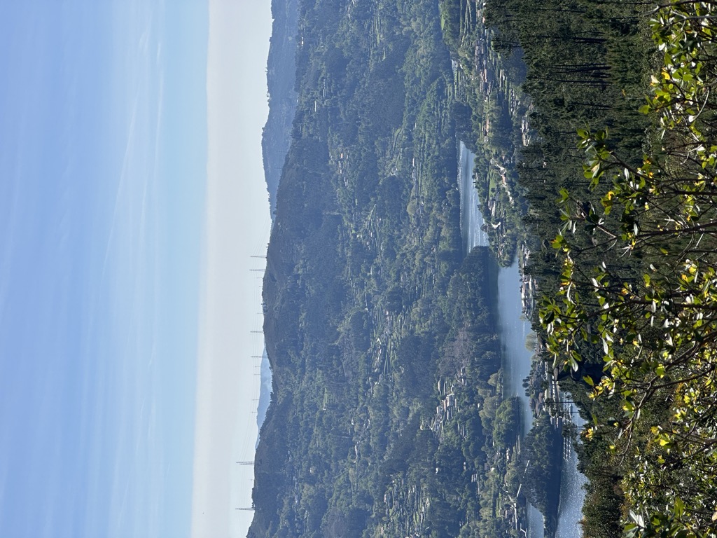 Caça