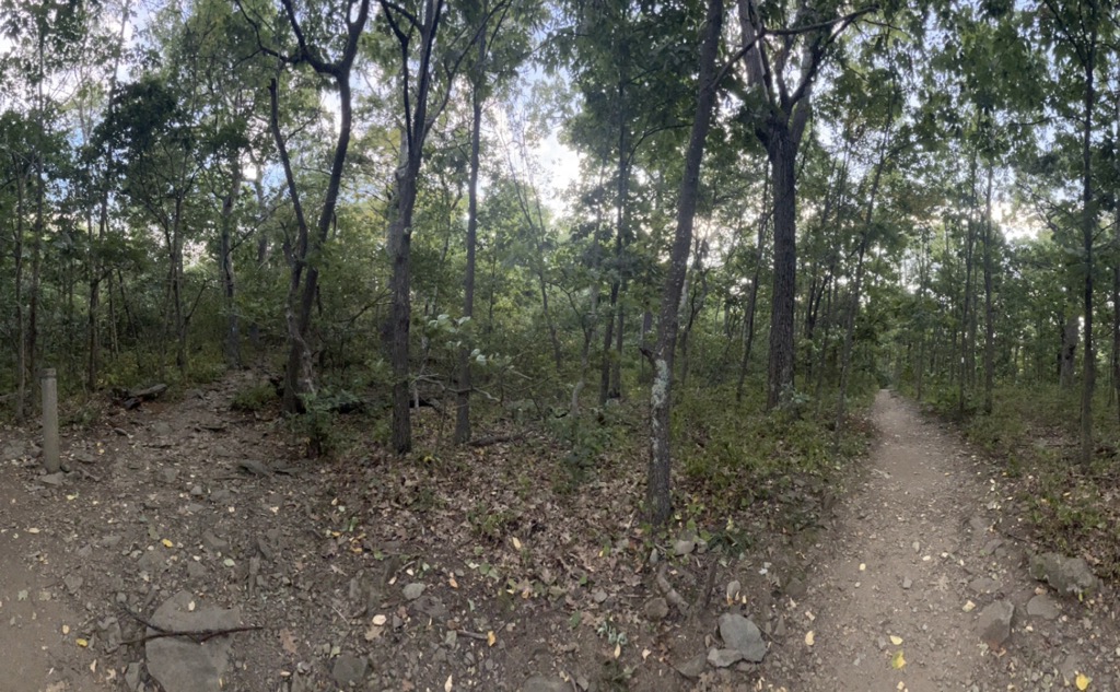 Compton Peak