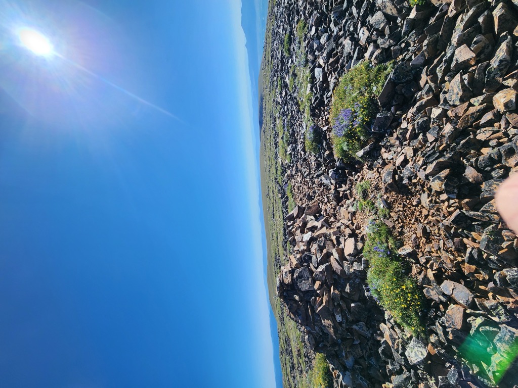 Table Mountain