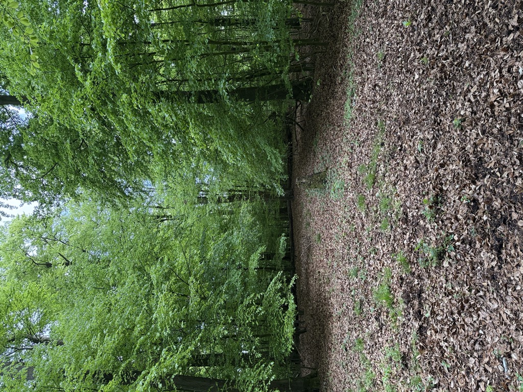 Kleiner Kobbennacken