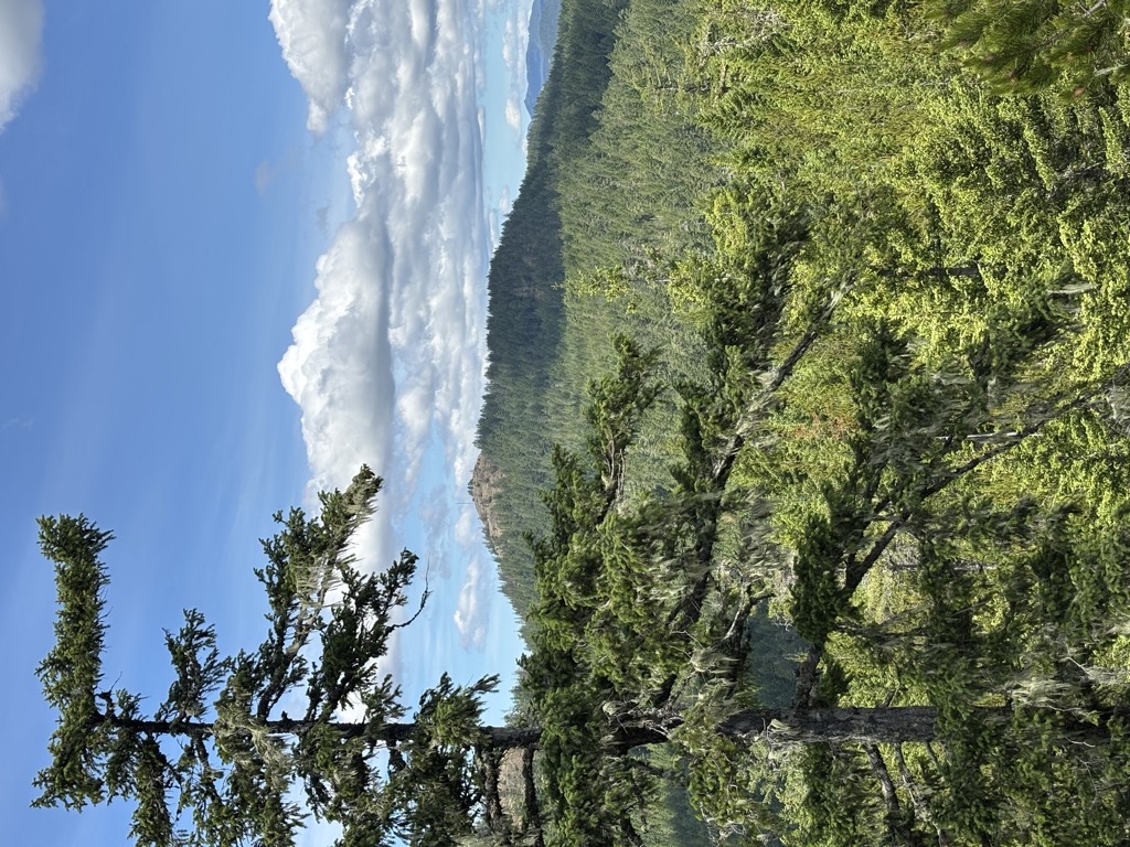 Crabapple Peak