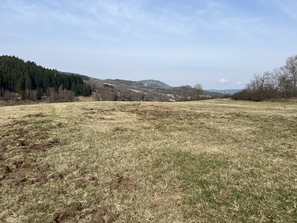 Bučina