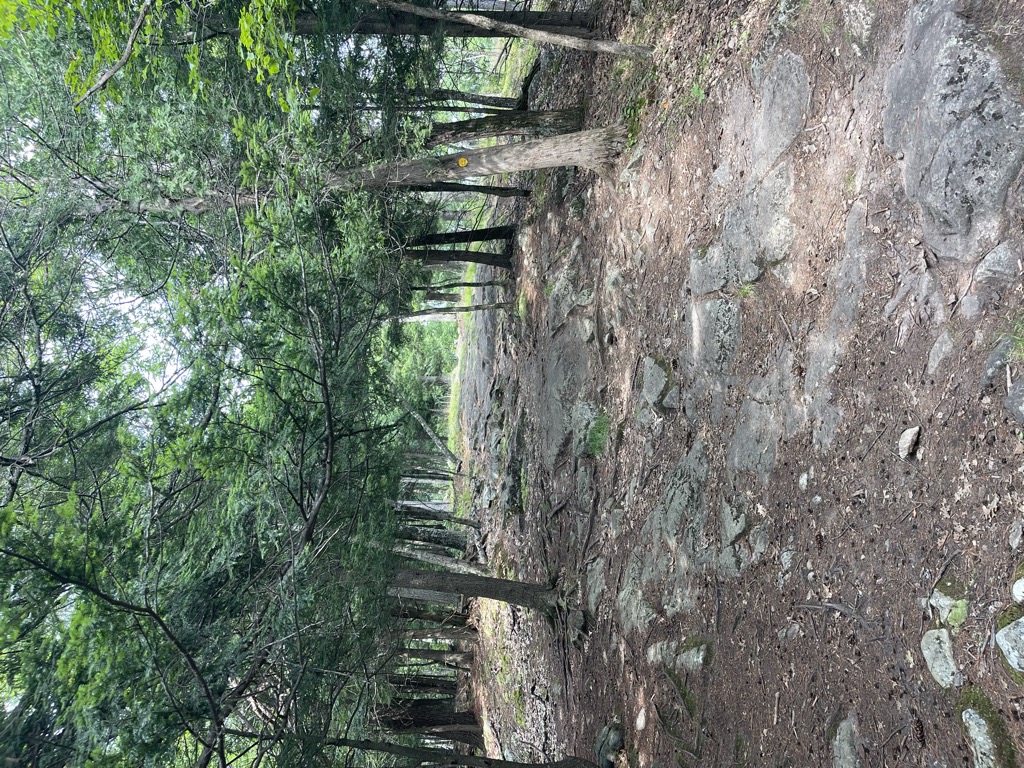 Severance Hill