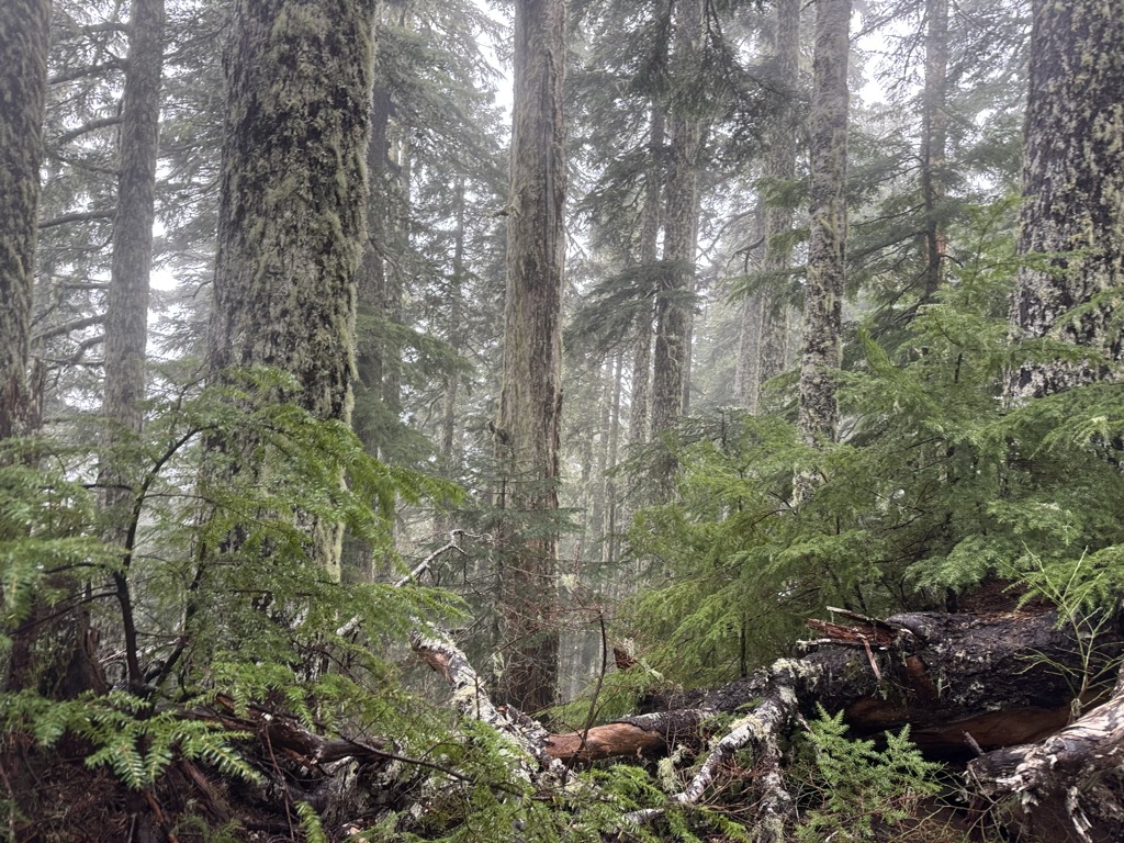 Finley Peak