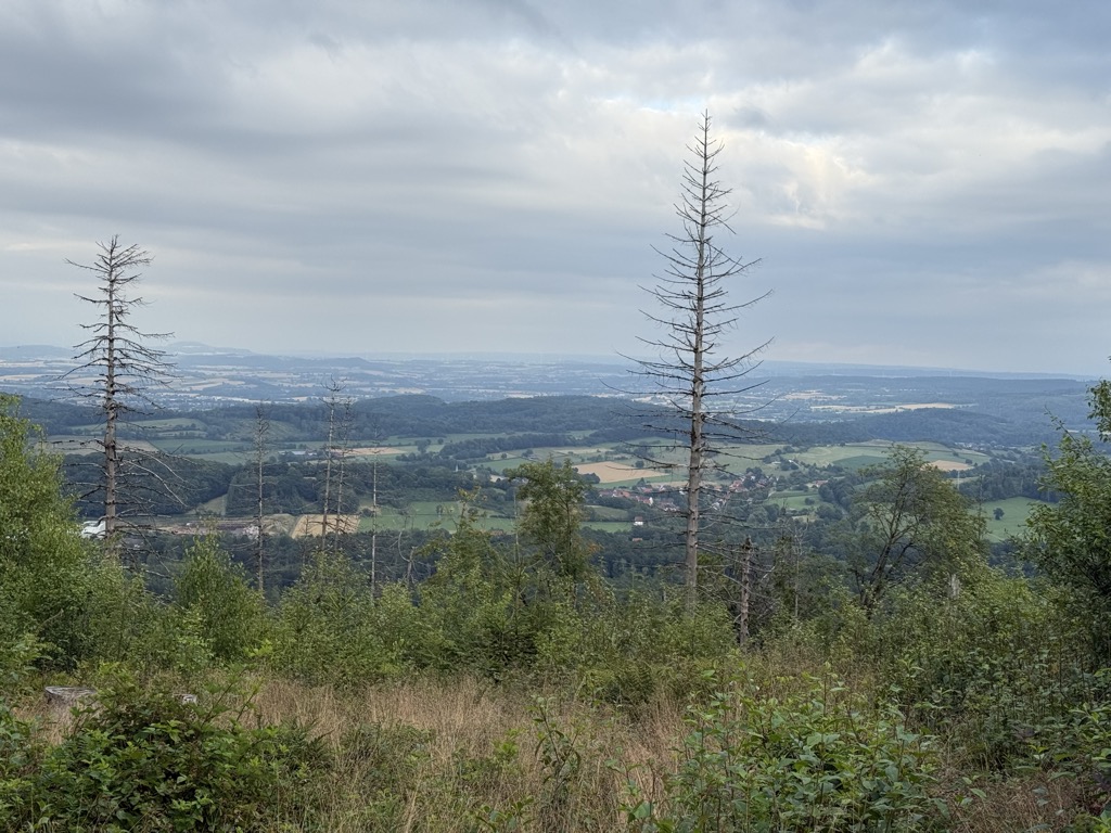 Feldromer Berg