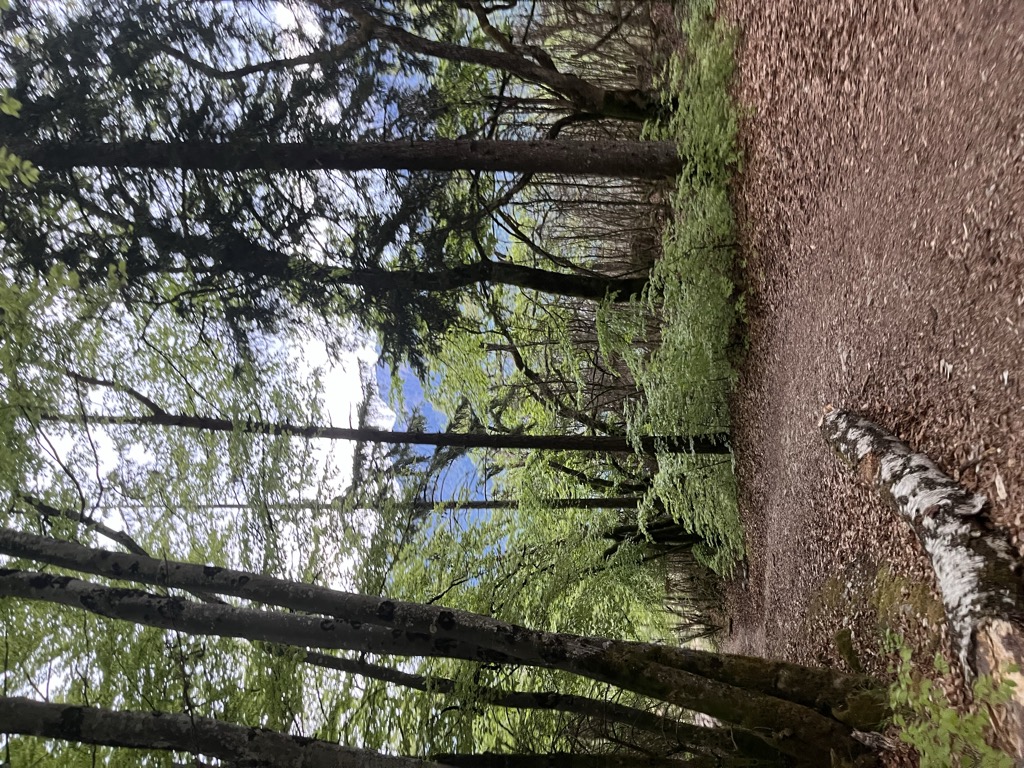 Le Taillefer